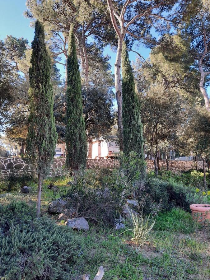 Perla Appartement Biograd Na Moru Buitenkant foto